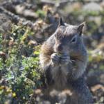 Cambria_0233 (November 04, 2012)